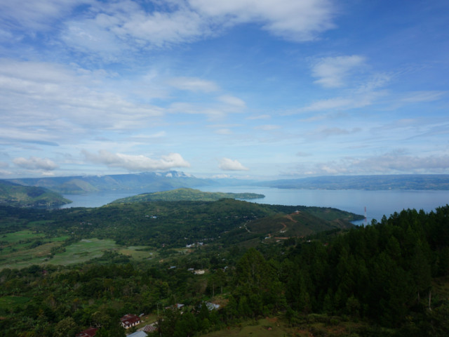14: インドネシア マンデリン トバコ スマトラ式　生豆時200ｇ