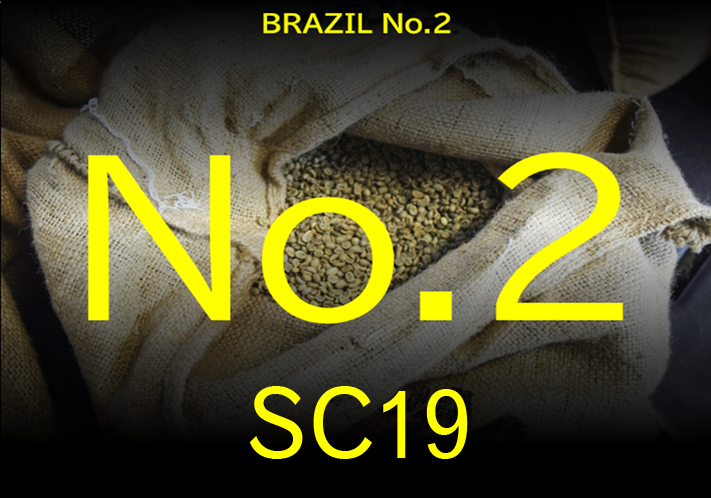 ブラジル サントス　No.2／SC19　生豆時200ｇ