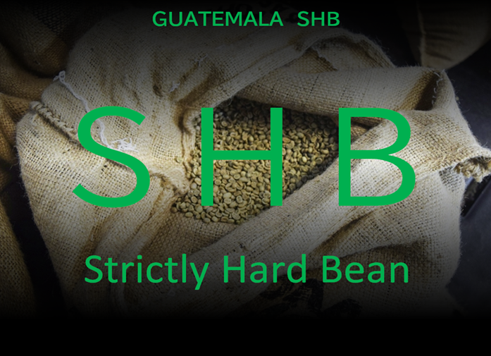 グアテマラ SHB　生豆時200ｇ