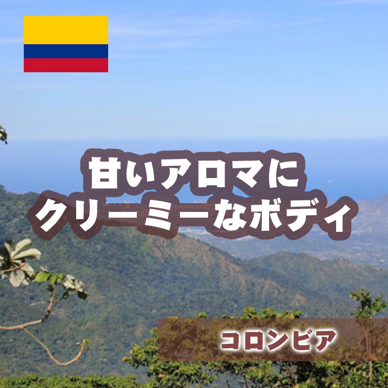 コロンビア シエラネバダ フェアトレード ティピカ他　生豆時200ｇ