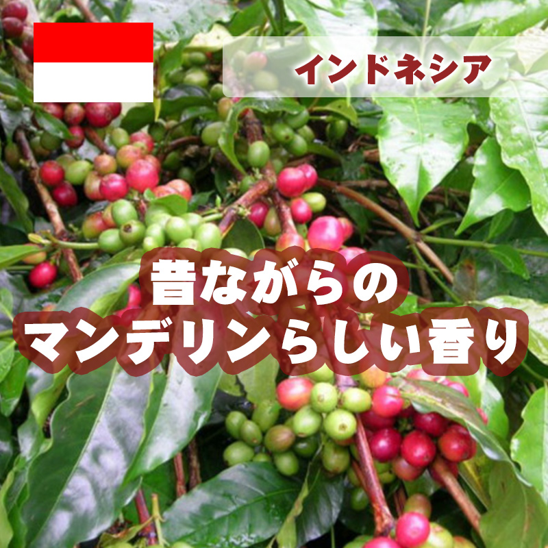 インドネシア マンデリン トバコ スマトラ式　生豆時200ｇ