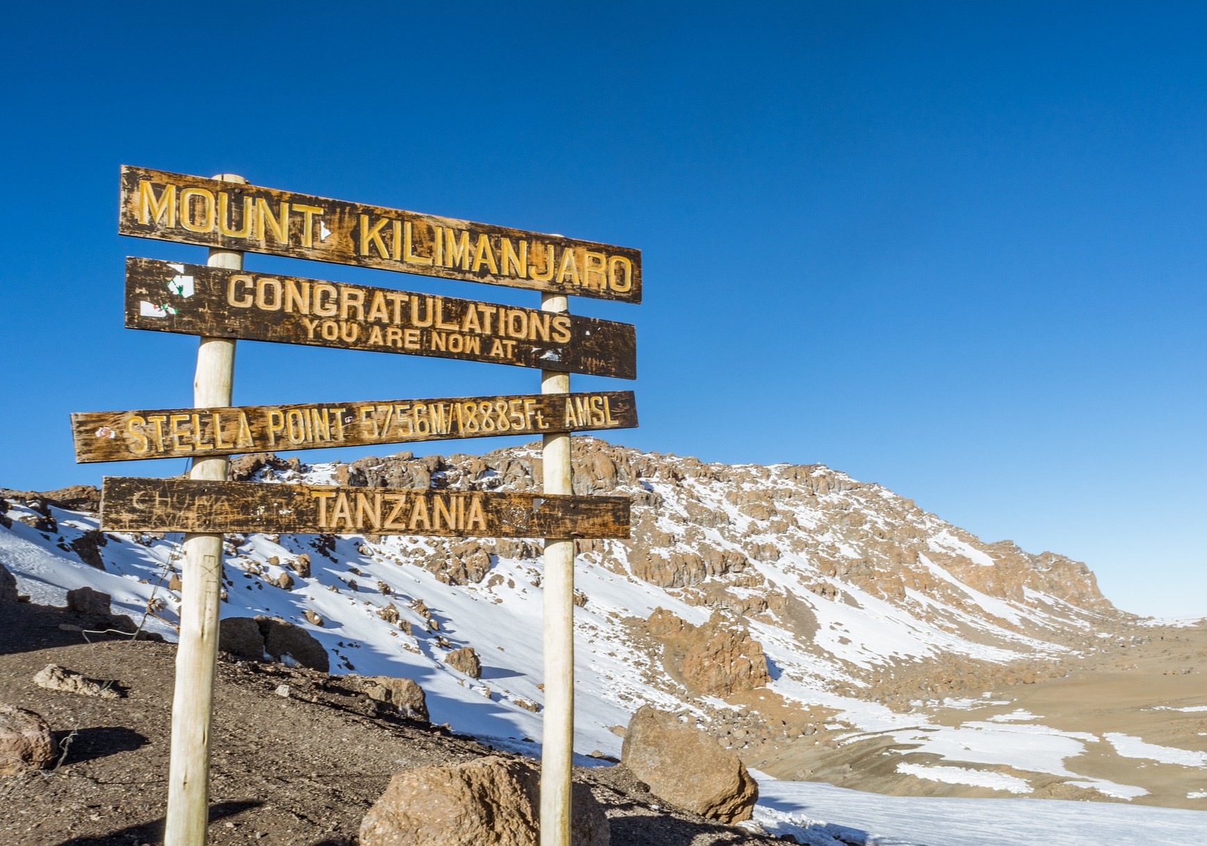 4: タンザニア キリマンジャロAA　生豆時200ｇ