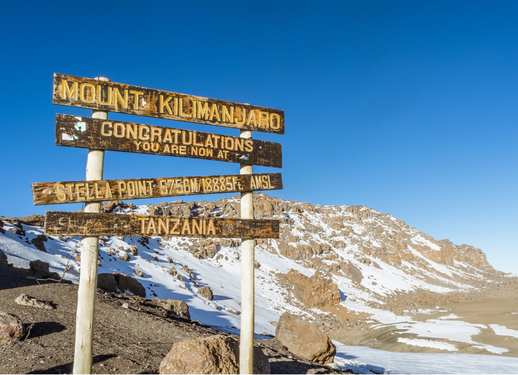 4: タンザニア キリマンジャロAA　生豆時200ｇ