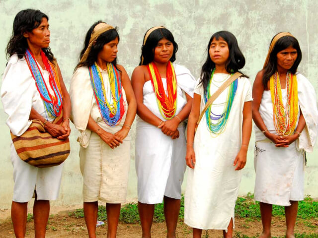 10: コロンビア シエラネバダ フェアトレード ティピカ他　生豆時200ｇ